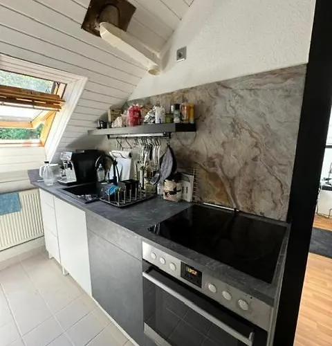 Gemuetliche Im 2og Haus Zur Vulkaneifel Brohl-Lutzing